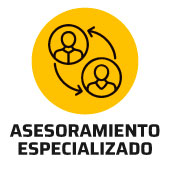 Asesoramiento especializado